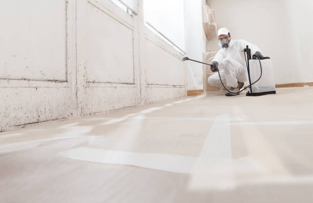 24/7 Emergency Basement Mold Remediation experts in Robertsdale, PA