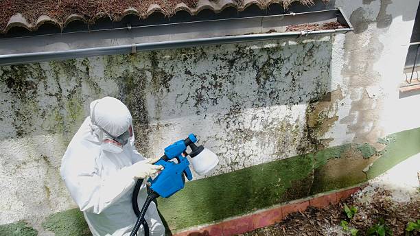 Trusted Bathroom Mold Removal service in Robertsdale, PA - Cheap Mold Removal